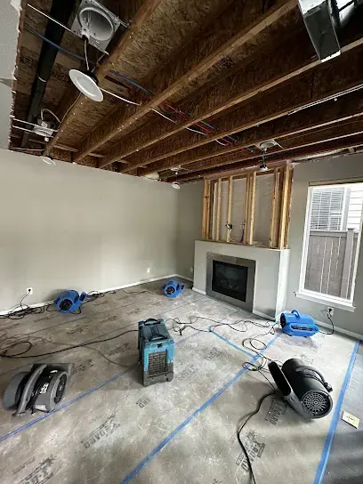 Air movers and an LGR dehumidifier drying a gutted Redmond living room with the ceiling opened