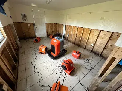 Air movers and an LGR dehumidifier drying opened wall framing in a Redmond room